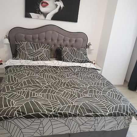 Topaz Central Apartment Bacău Buitenkant foto